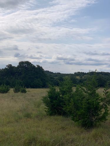 part of edmond ranch: 000 FM 32, Blanco, TX 78606